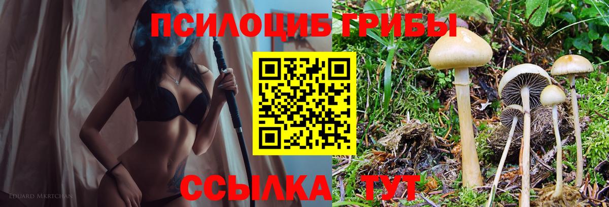 Псилоцибиновые грибы Cubensis  Вход с VPN  даркнет сайт  Железногорск 