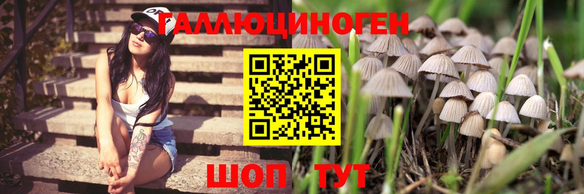 Псилоцибиновые грибы ЛСД Железногорск